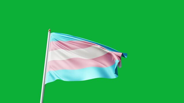 transgender flag on a green screen, waving in the wind, trans flag with no background, tall flagpole, pride, gay pride, lgbt, lgbtqia