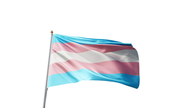 transgender flag on a transparent background, waving in the wind, trans flag with no background, tall flagpole, pride, gay pride, lgbt, lgbtqia, alpha, transparent png