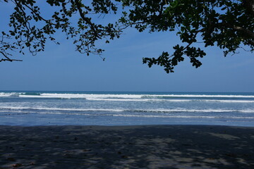 Baumkrone am schwarzen Strand mit Meer und Wellen in Cahuita in Costa Rica