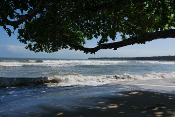 Baumkrone am Strand mit Meer und Wellen im Nationalpark Cahuita in Costa Rica - obrazy, fototapety, plakaty