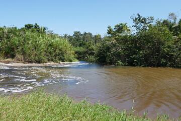 Flussmündung im Nationalpark Cahuita in Costa Rica