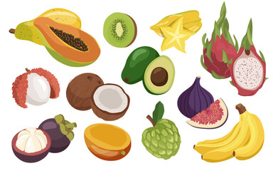 Fresh whole and sliced tropical exotic fruit flat cartoon set isolated on white background