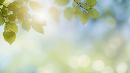 Obraz premium Deciduous tree branch with bright sun in the background. The leaves are green, blurred background with closed sides at the back and places for text