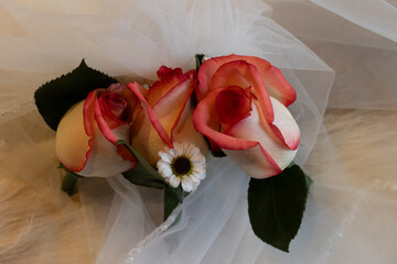 Flowers from a recent wedding 
