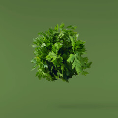 Fresh green Parsley herb falling in the air isolates on green background