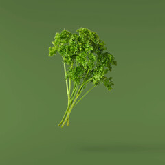 Fresh green Parsley herb falling in the air isolates on green background