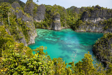 A bright lagoon in lush greenery near one of the islands of the Raja Ampat archipelago