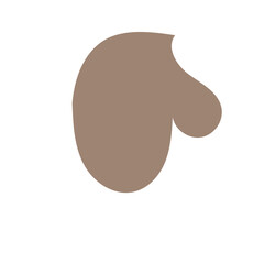 Obraz premium Natural colour abstract shapes decor