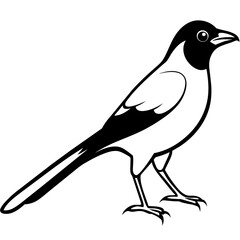 illustration of a bird, silhouette