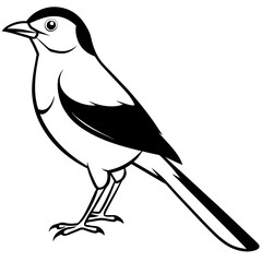 illustration of a bird