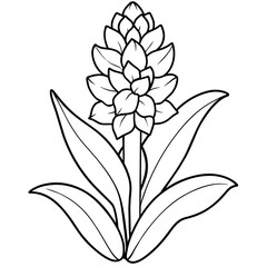 Fototapeta premium sketch of a flower