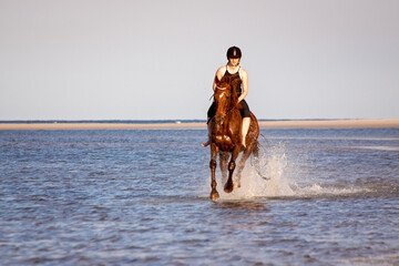 Young woman riding brown horse toward camera through shallow ocean water at beach, blue sky and...