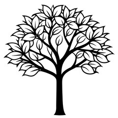 Obraz premium tree with leaves
