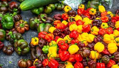 Very colorful and pretty peppers