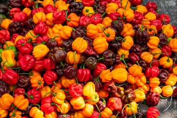 Very colorful and pretty peppers