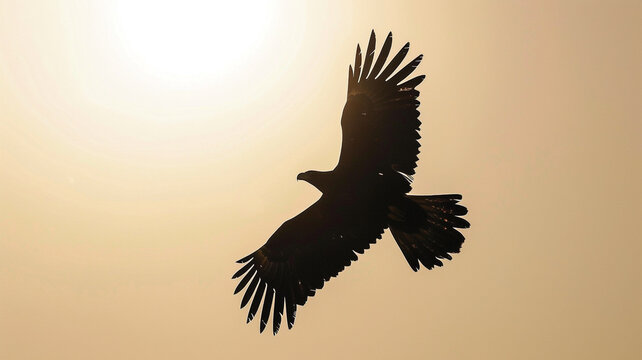 A majestic eagle soaring high above, silhouetted against a clear, sunny sky.