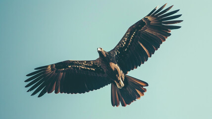 A majestic bird soaring high above against a backdrop of clear blue sky. - Powered by Adobe