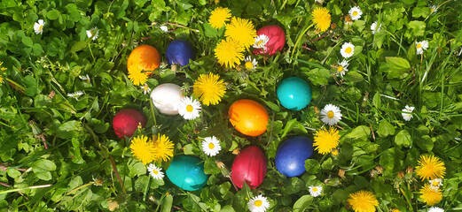 Closeup of colorful eggs in beautiful spring meadow on easter holiday outdoors in green graas.Traditional symbol for christian and catholic holiday