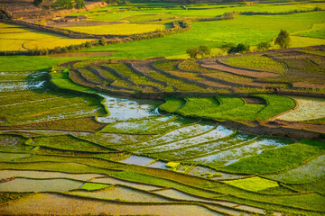Rice terrasses fields of Madagascar