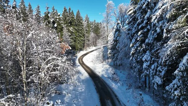 Drohnenvideo von einer Straße im schneebedeckten Wald im Winter