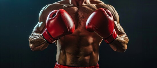 A focused image featuring a man wearing boxing gloves, striking a pose for a photograph.