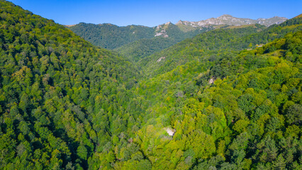 Obraz premium Panorama view of Dilijan national park in Armenia