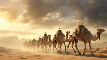 Fotobehang camels in the desert © qaiser