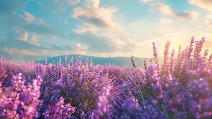 Fototapeten A vibrant field of lavender swaying gently in the summer breeze. © CREATER CENTER