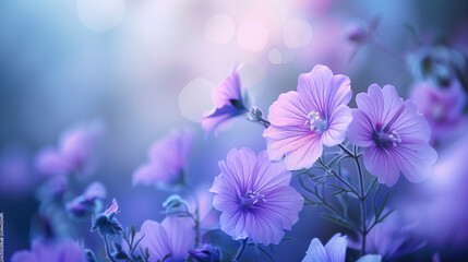 Fototapeta na wymiar A close up of purple flowers with a blue background. AI.