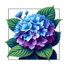 Graphic illustration of blue hydrangea with a modern, framed design.