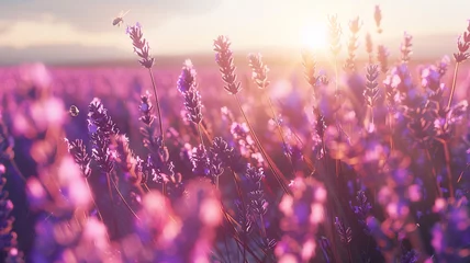 Foto op Canvas A sunlit field of lavender stretching to the horizon, with bees buzzing among the fragrant blooms. © CREATER CENTER