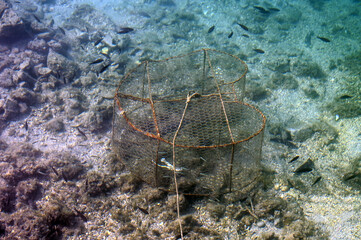 Fish trap at the bottom of the sea. Fishes inside trap. Sea fishing. Wire mesh fish trap in the water. 