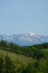Fototapeta na wymiar 新緑の丘と残雪の山並み　十勝岳連峰 