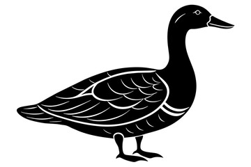 Waterfowl silhouette  Silhouette  Vector logo Art design, Icons, and Graphics vector illustration