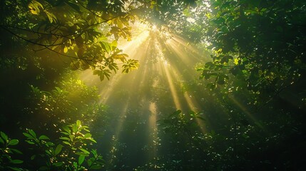 Sunlight streaming through a dense forest canopy  AI generated illustration - obrazy, fototapety, plakaty