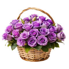 Fototapeta na wymiar Purple roses in a basket isolated on transparent background