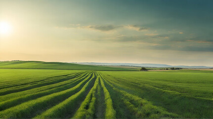 Fototapeta na wymiar Wide panoramic view of green agricultural fields lit by the sun over horizon, minimalism natural.generative.ai