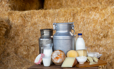Composition of dairy products: milk, cheese, yoghurt and cream on wooden table with hay bales in...