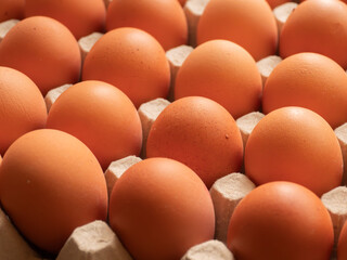 Fresh Brown Eggs in Carton Close-Up