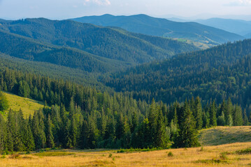 Summer day at Ciumarna pass in Romania