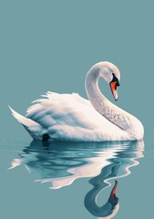 Swan poised on calm blue waters in natural setting - A single swan is captured in its natural elegance, poised on calm blue waters, evoking serenity and nature's simplicity
