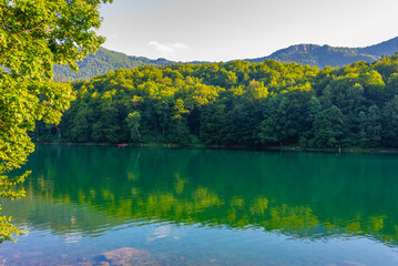 Biogradska Gora national park in Montenegro