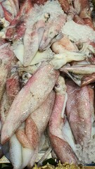 Close up photo of fresh squid on ice sold at the market