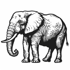 Black and white graphic image of a detailed, lifelike elephant standing proudly.