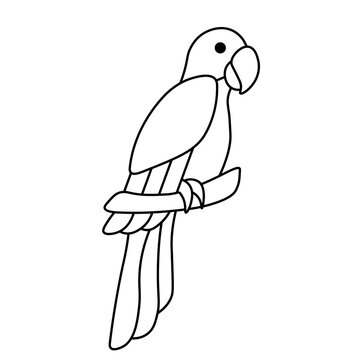 recommend clip art: line art drawing png