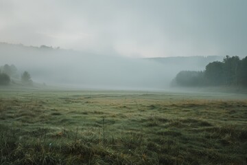 Foggy field at dawn