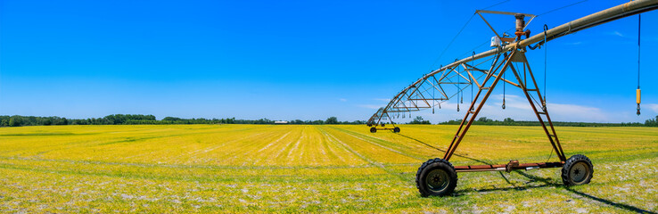 Pivot Irrigation System in Suwanee County, Florida