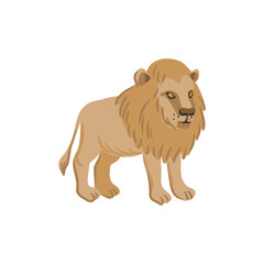 vector drawing lion, cartoon animal isolated at white background, hand drawn illustration