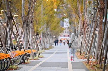 Fototapeta premium Taiwan - Jan 24, 2024: Taipei street: YouBikes parked, pedestrians walking, tree-lined walkway, ideal for a stroll. Close-up: pedestrian in hoodie walking during the day.