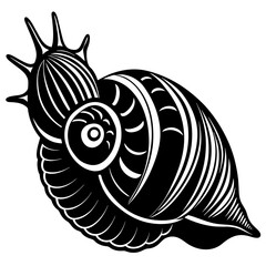       sea snail vector illustration
